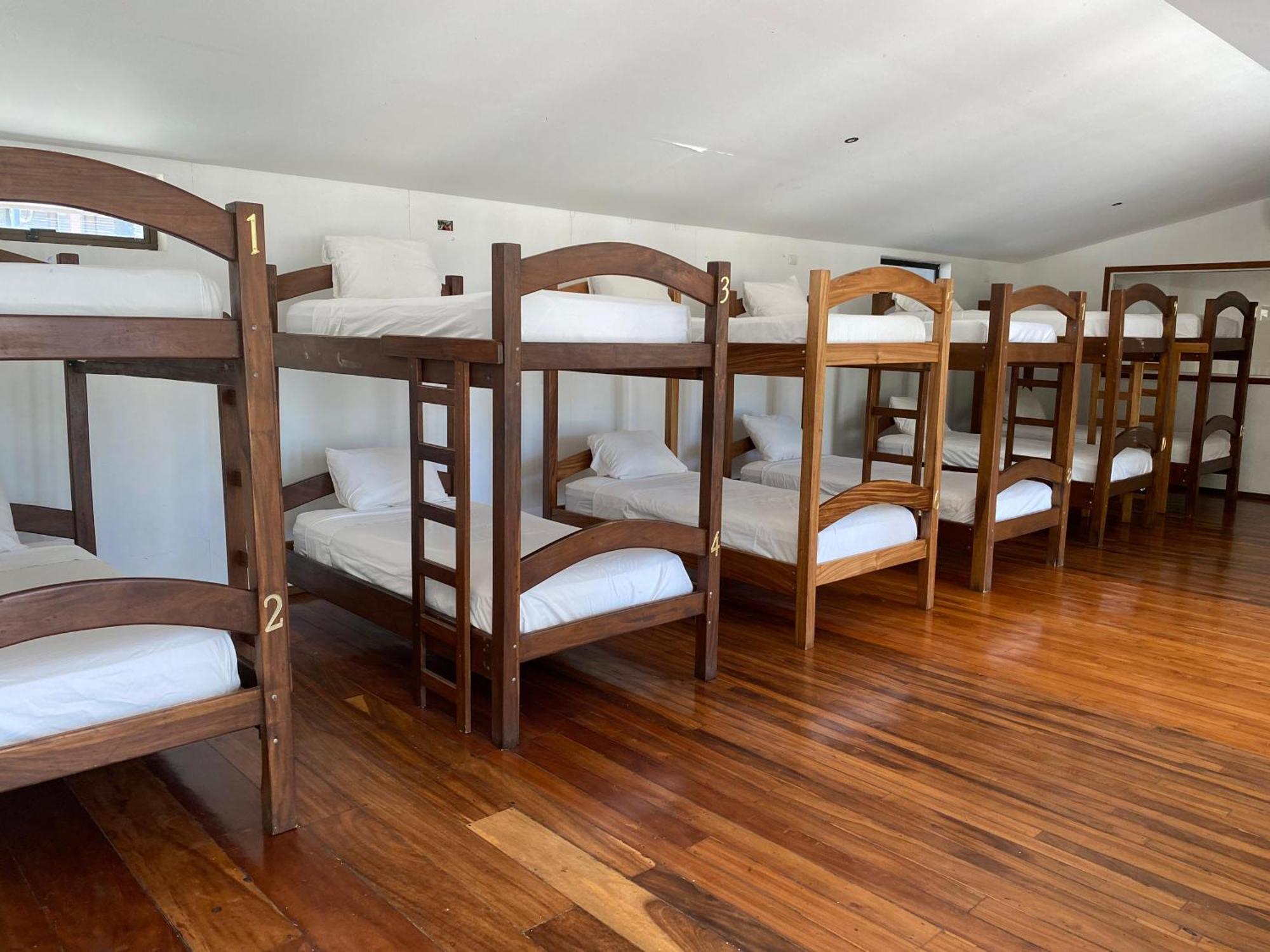Casa Aura: Beachfront Premium Hostel Tamarindo Luaran gambar